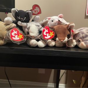 Ty Beanie Baby - Rare Cat Collection - All Beanie Baby have have Tag Errors